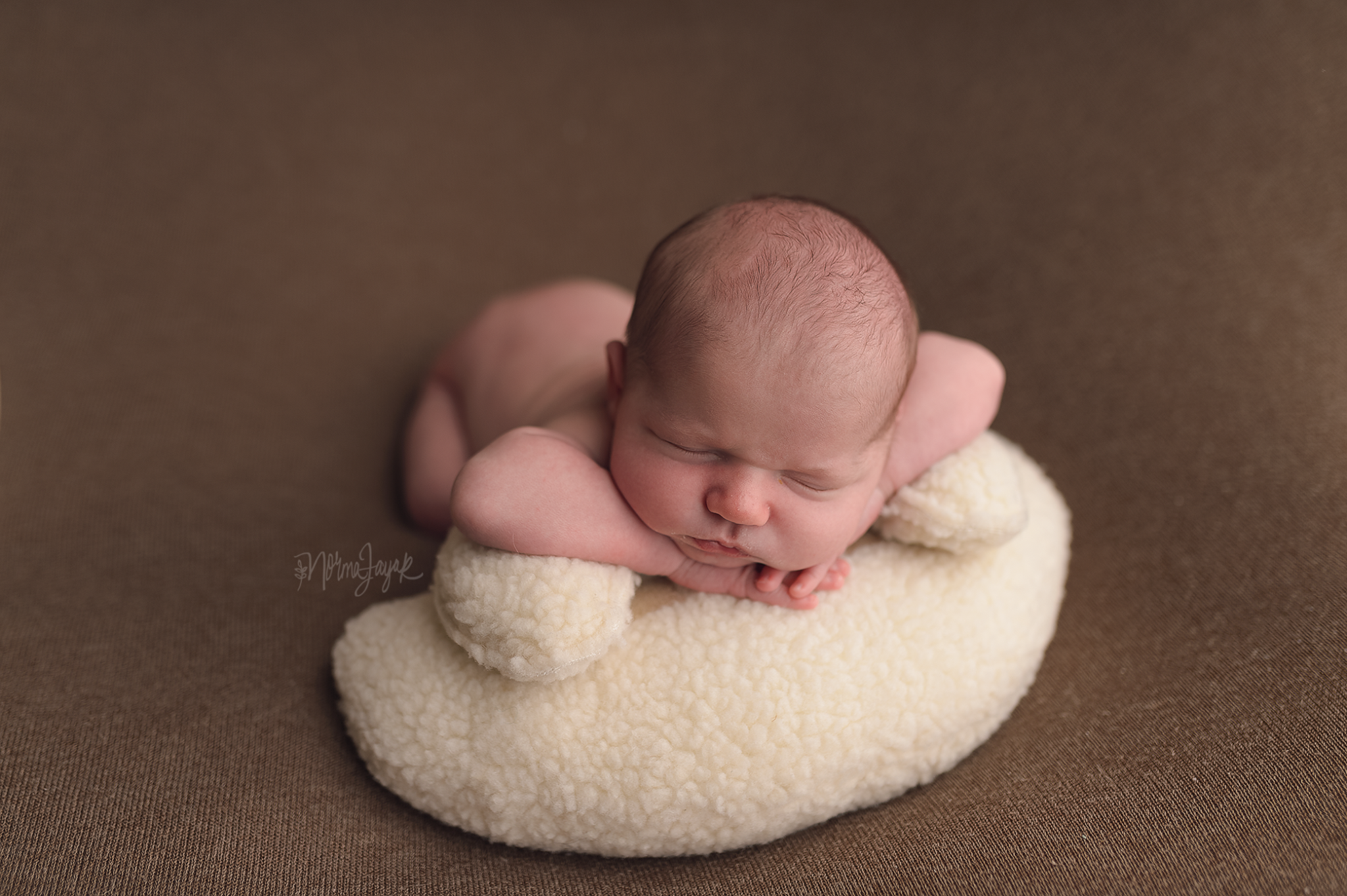 Teddy Bean - Image 5