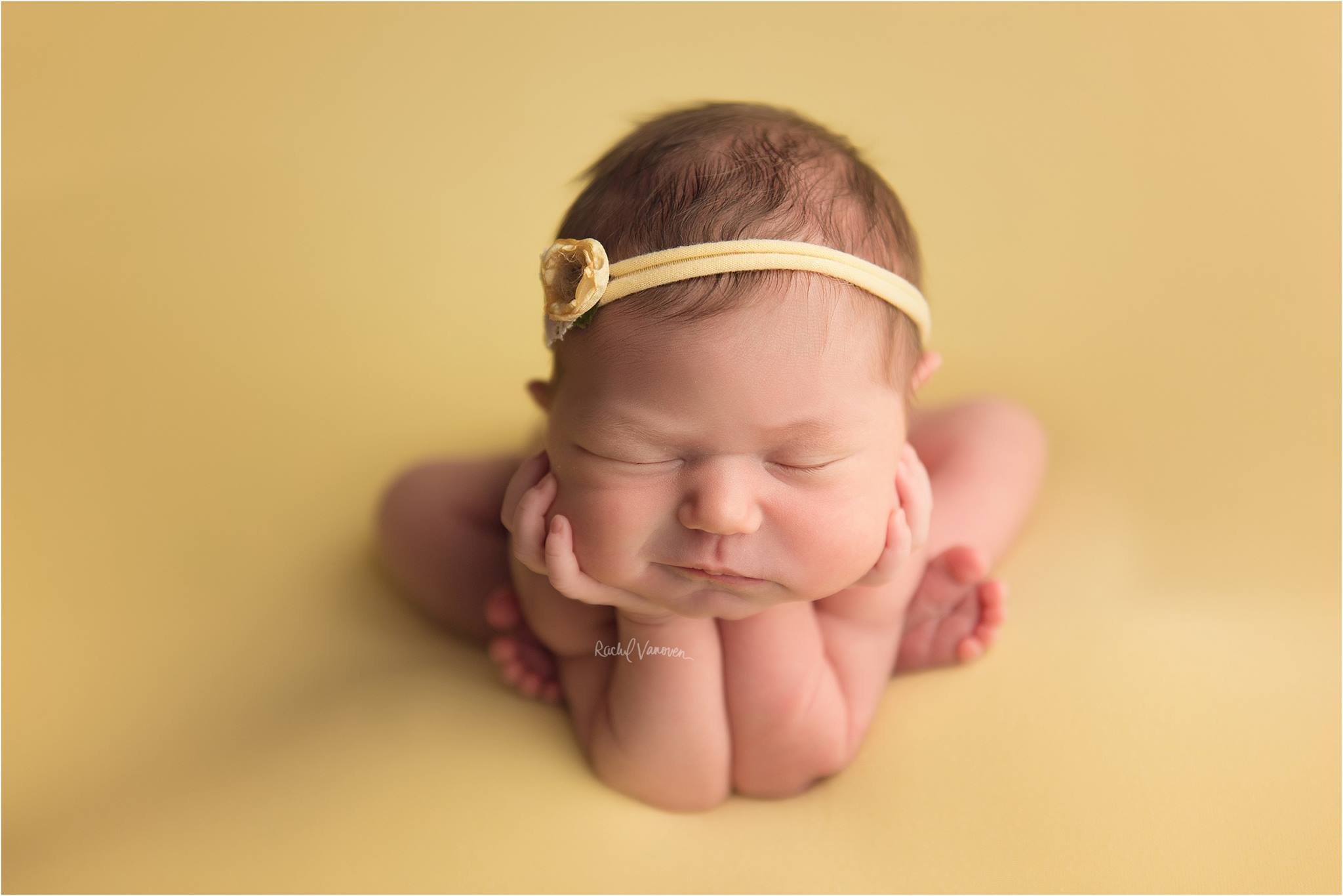 Teddy Bean - Image 9