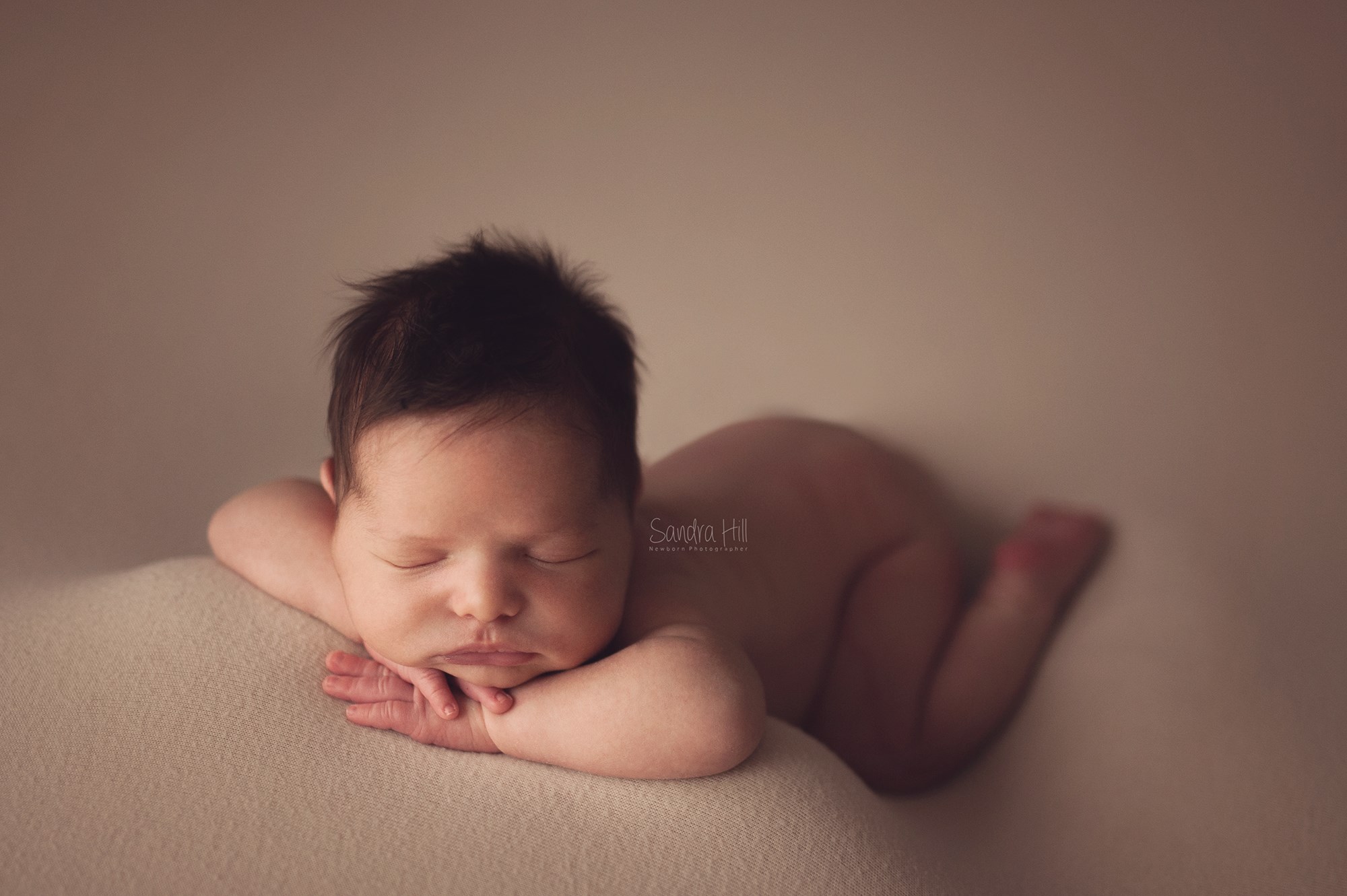 Teddy Bean - Image 13