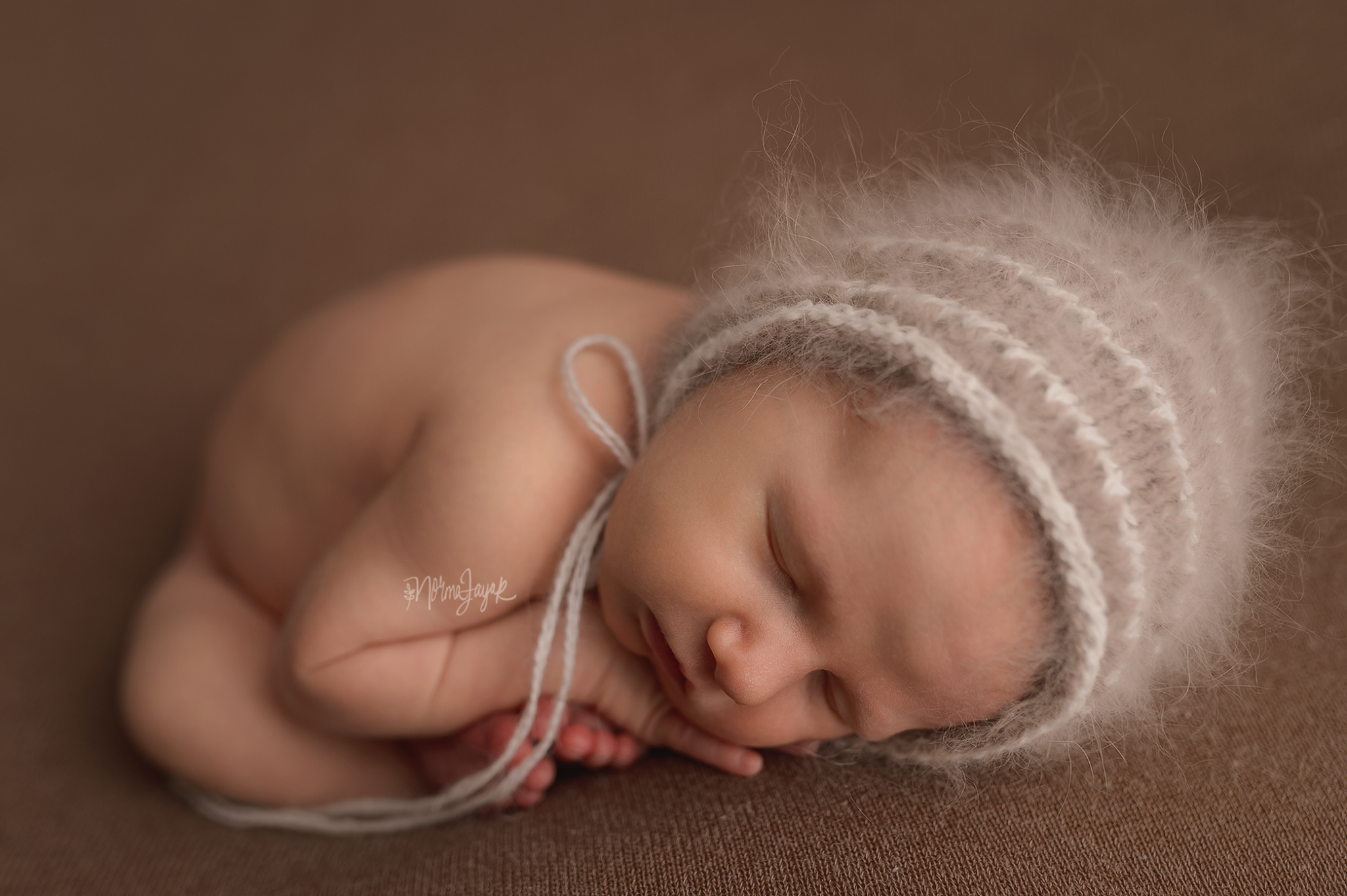 Teddy Bean - Image 8