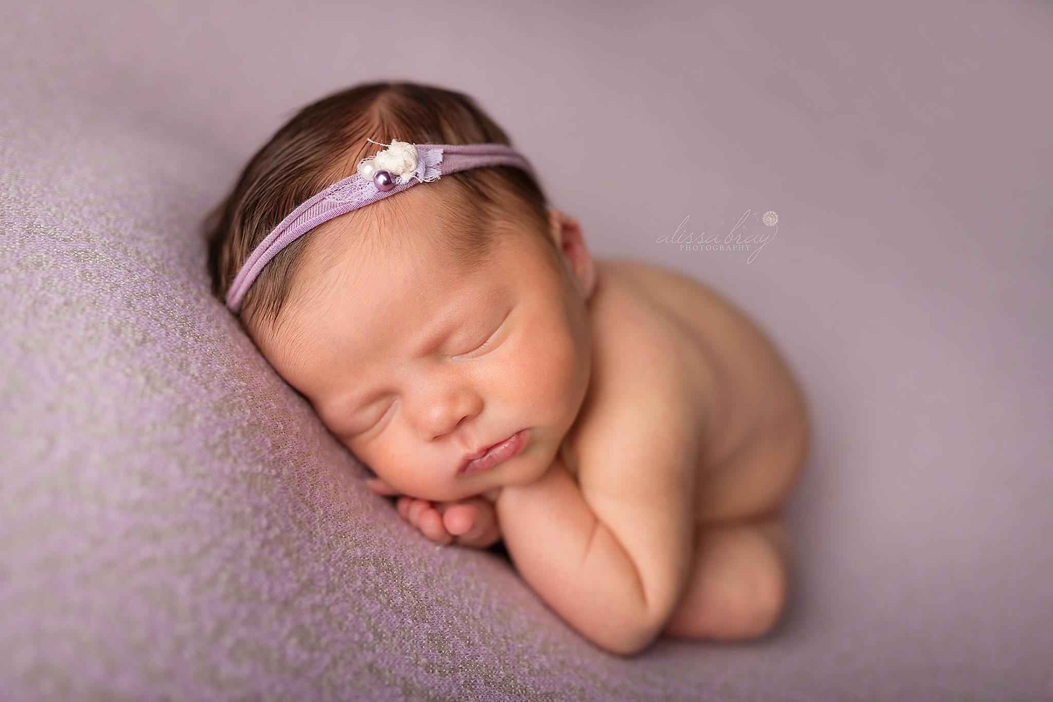 Teddy Bean - Image 10