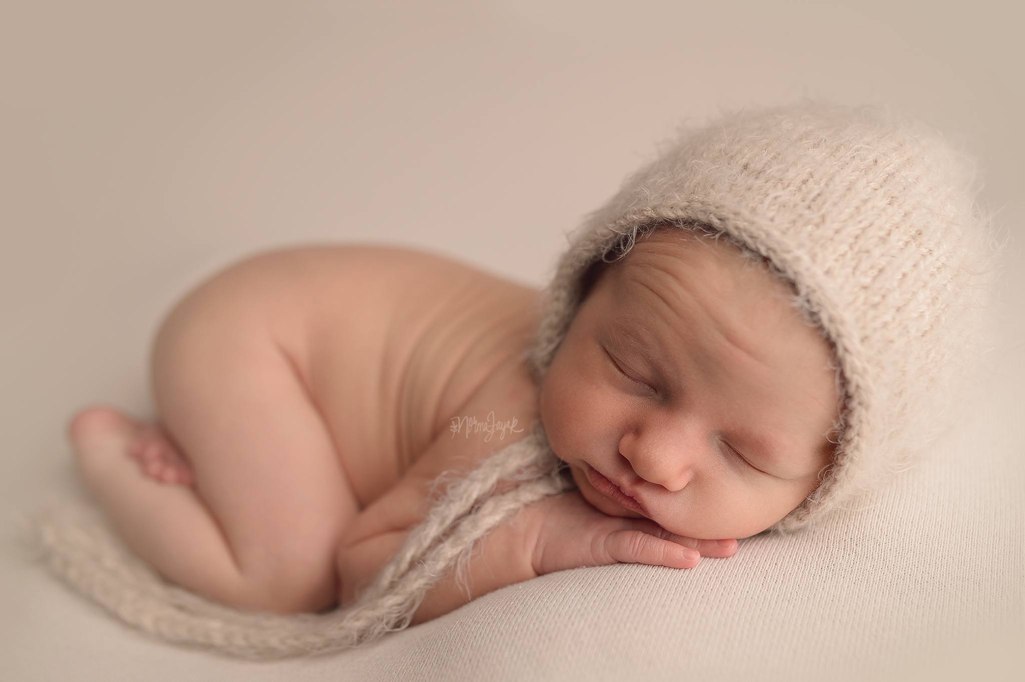 Teddy Bean - Image 7