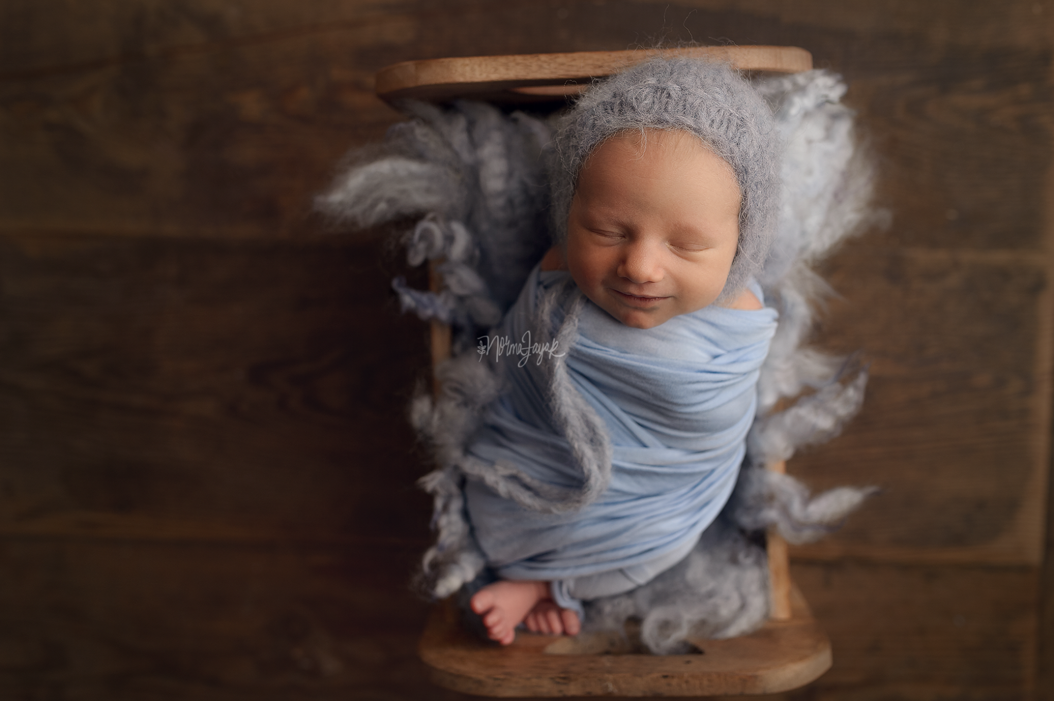 Teddy Bean - Image 16