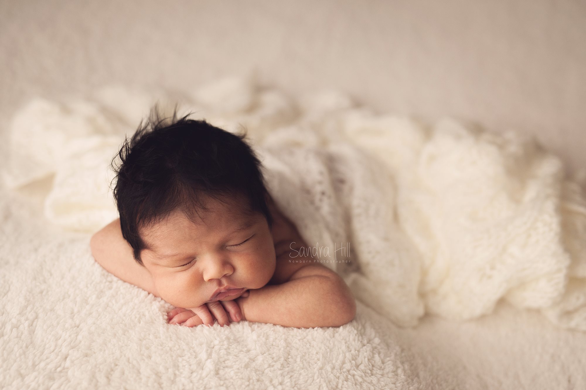 Teddy Bean - Image 12