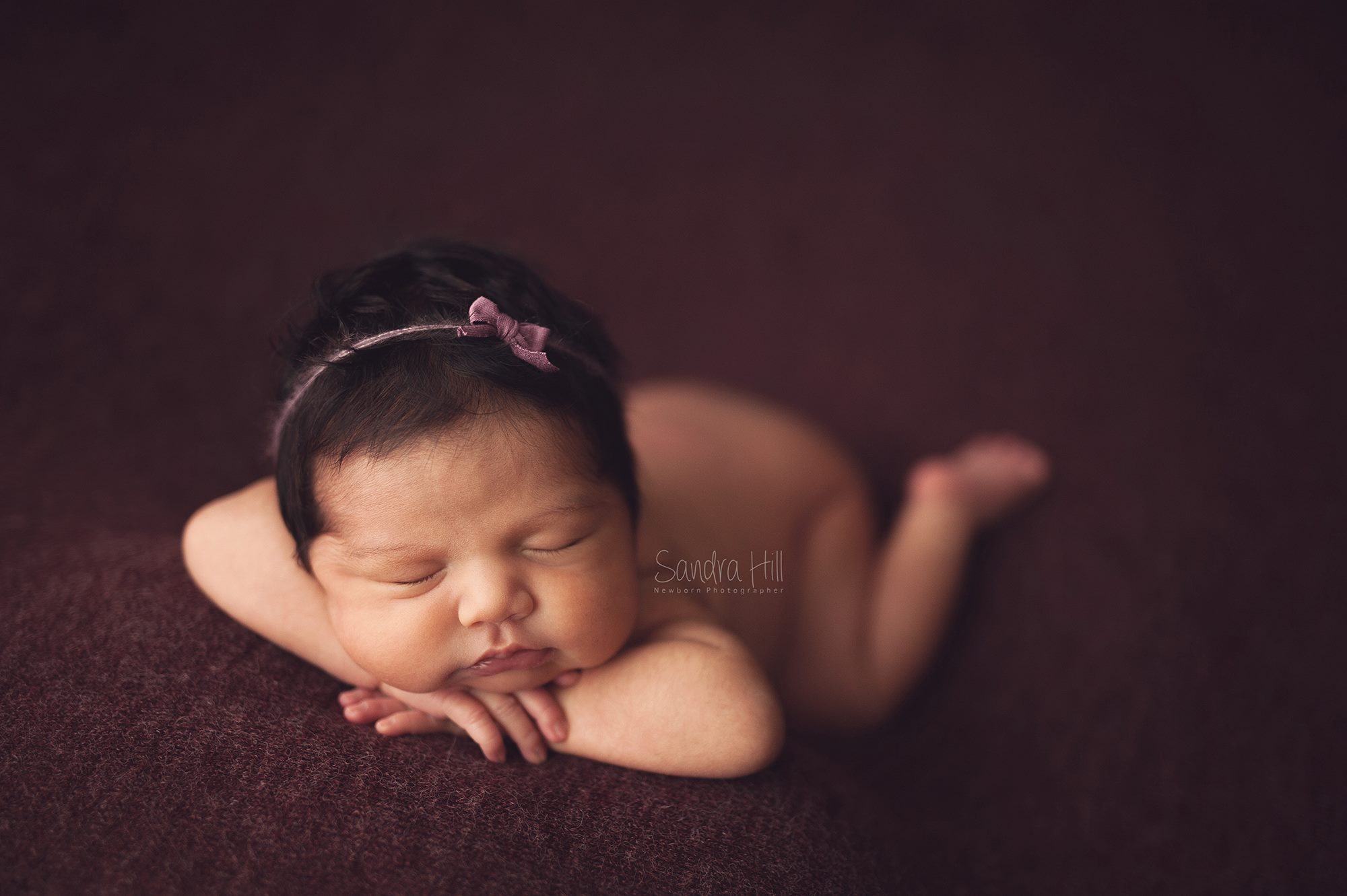 Teddy Bean - Image 11