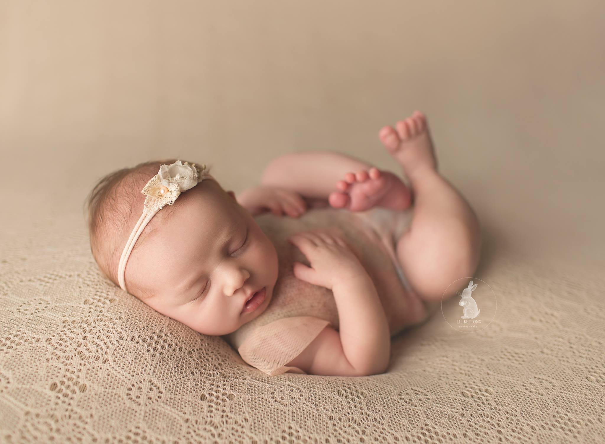 Teddy Bean - Image 14