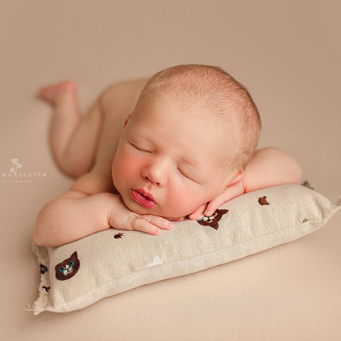 SLEEPY nb size pillow KITTENS