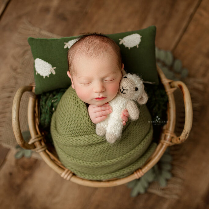 SLEEPY nb size pillow SHEEP