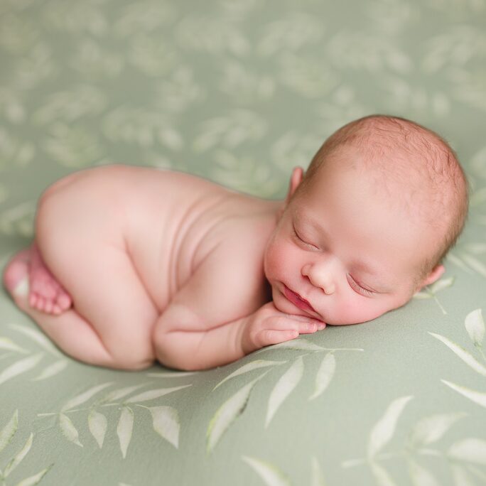 OLIVE Garden backdrop - GREEN