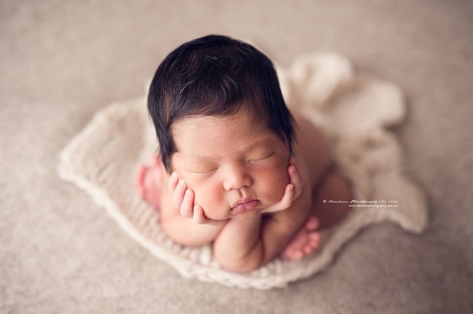 Teddy Bean - Image 2