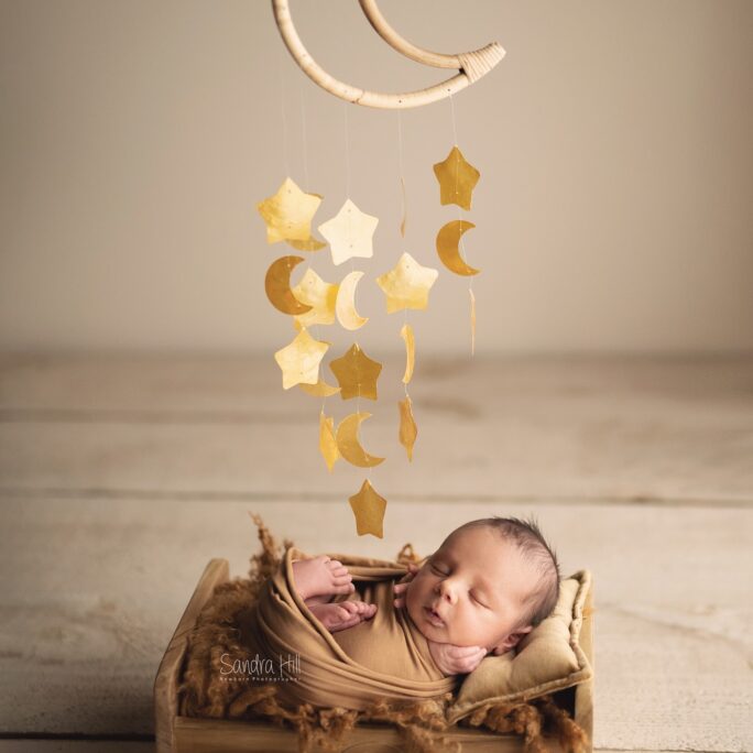 bamboo moon with stars