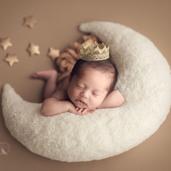 MOON PROP and  STARS - TEDDY