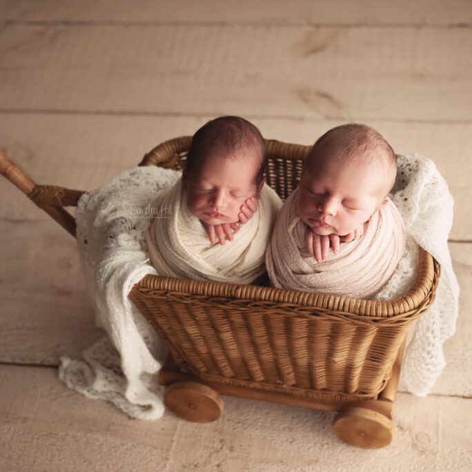 Baby Cart WALNUT