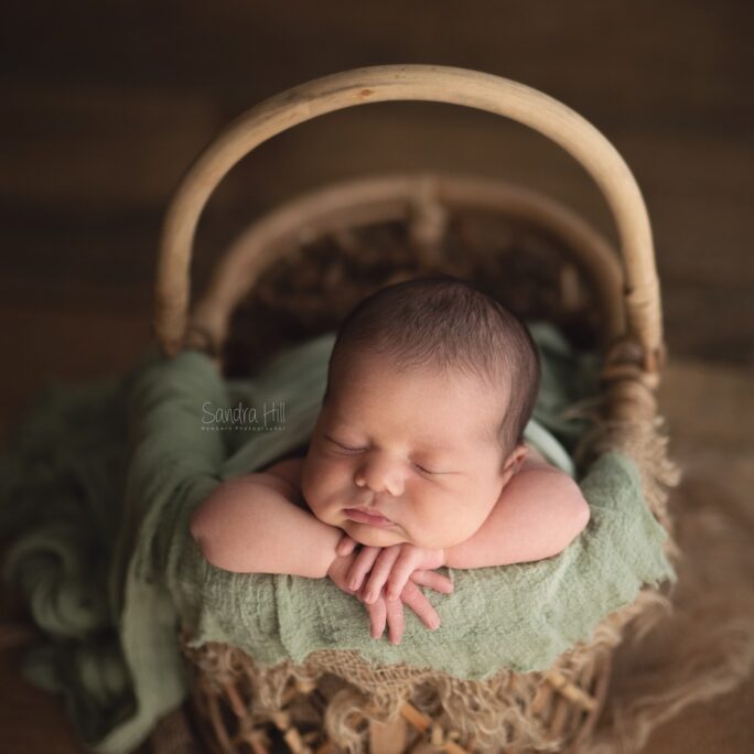 Picnic Basket - Natural
