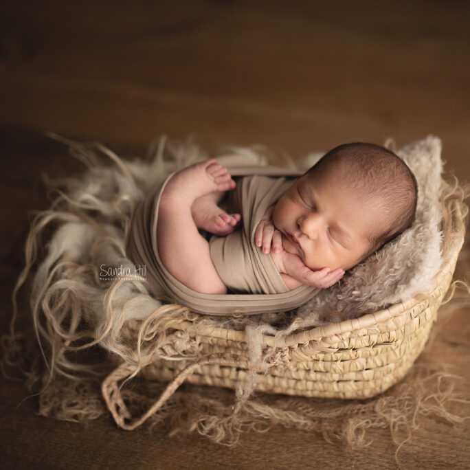 The Little Moses Basket