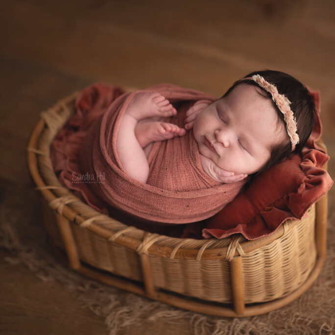 The Snuggle Woven Basket