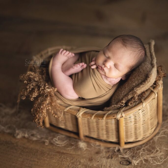 The Snuggle Woven Basket