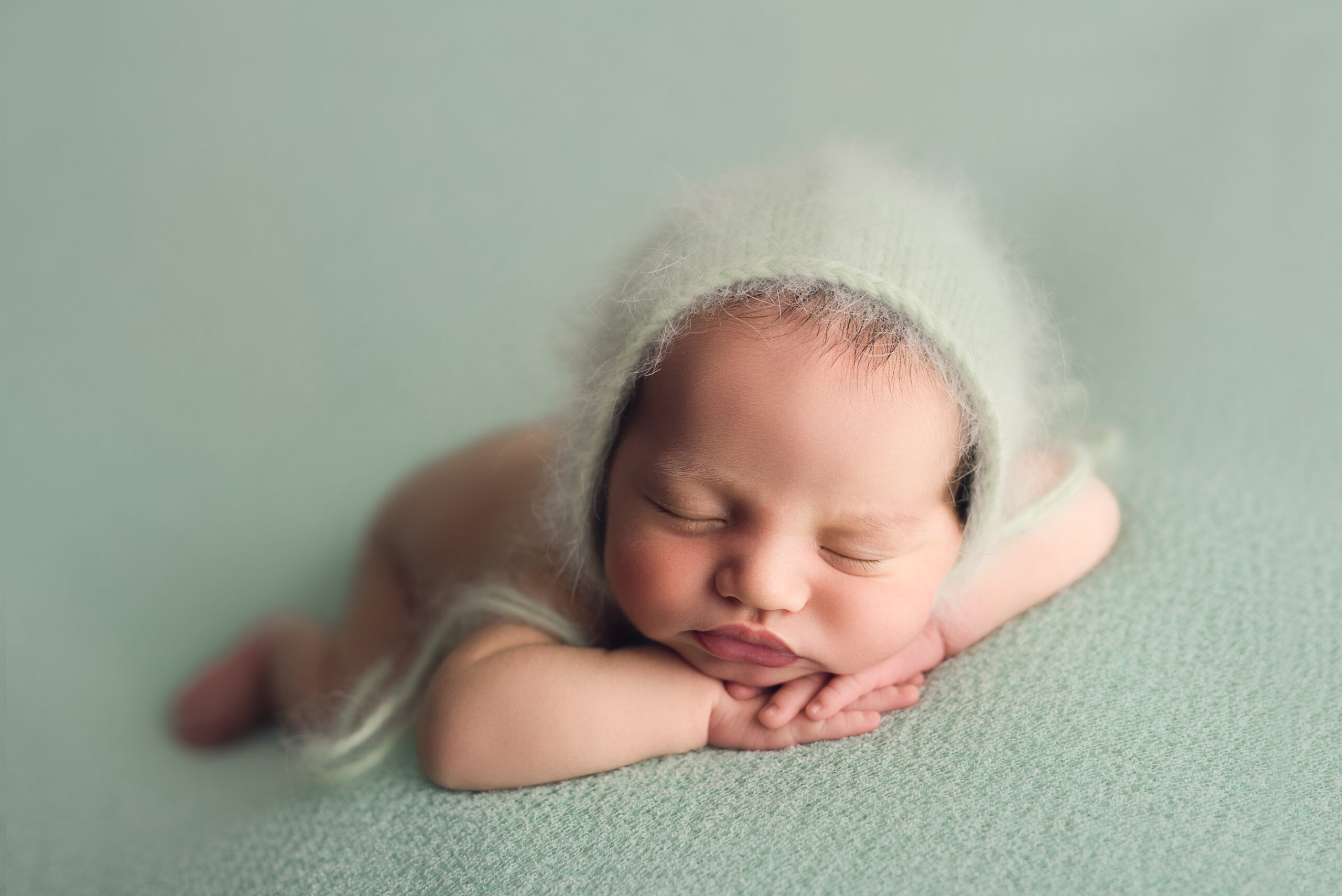 Teddy Bean - Image 3