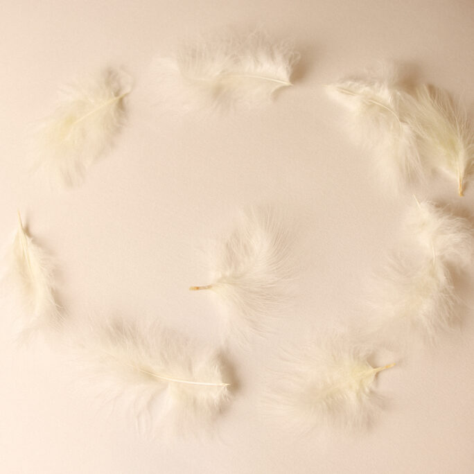 1 IVORY Feather