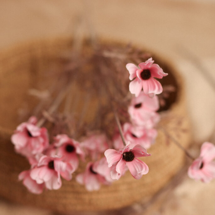 French Fuchsia Flower PINK