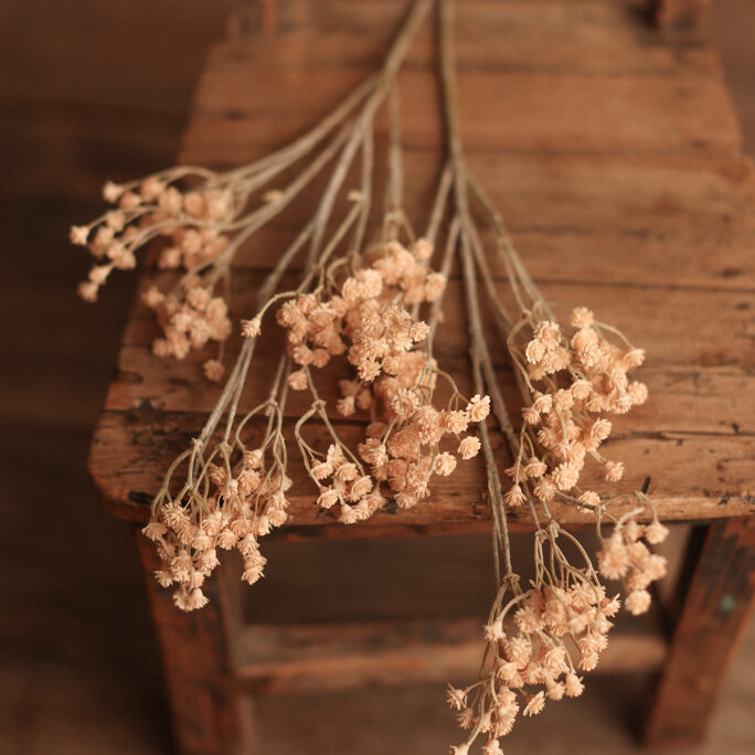 Beige Babies breath flowers
