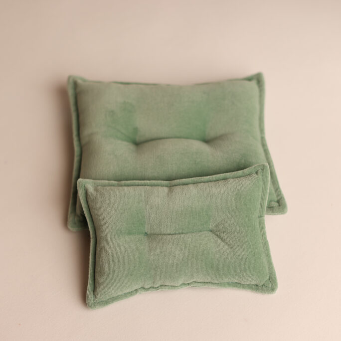 DUSTY SAGE Pillow