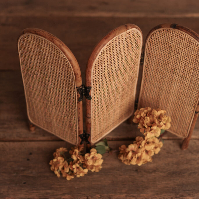 LAST ONES! ROOM DIVIDER