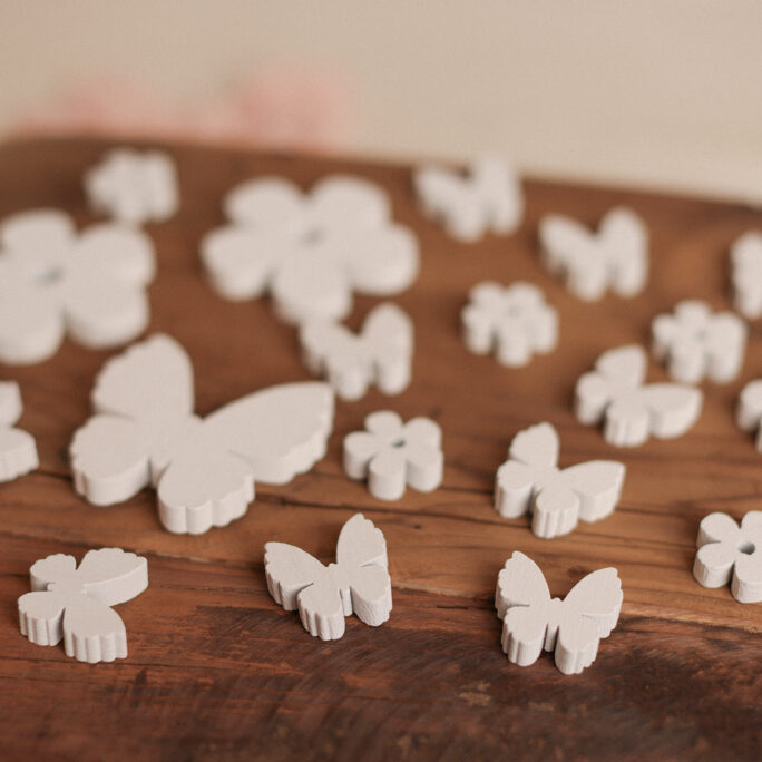 White SET of butterflies and flowers
