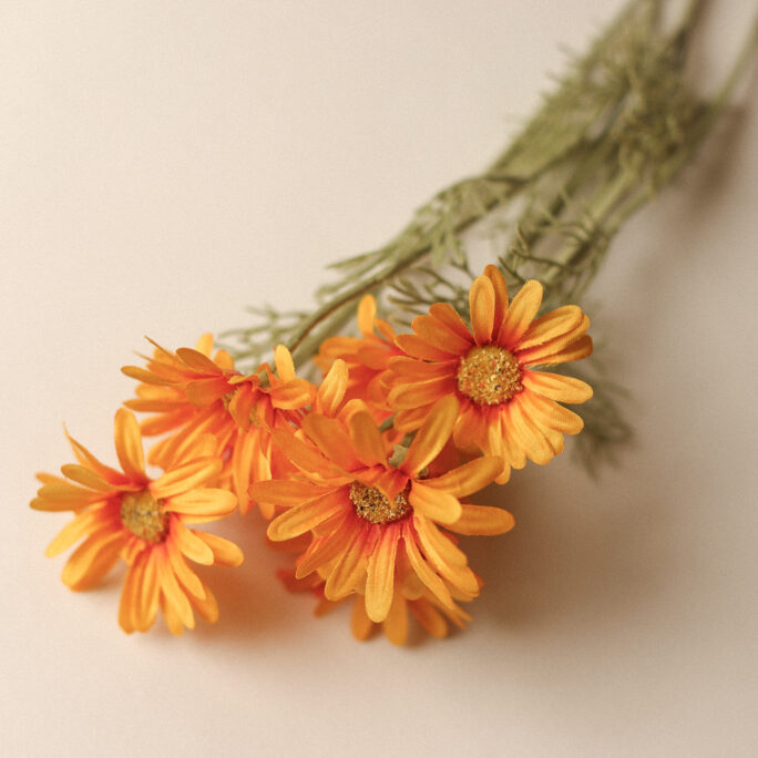 Sunshine Yellow Daisies
