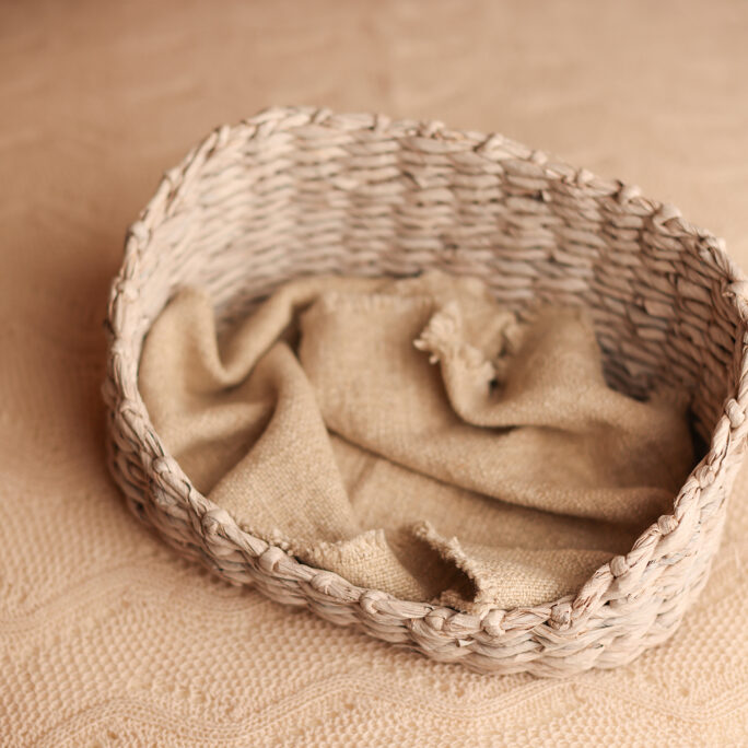 The Banana Leaf Nest / light wash