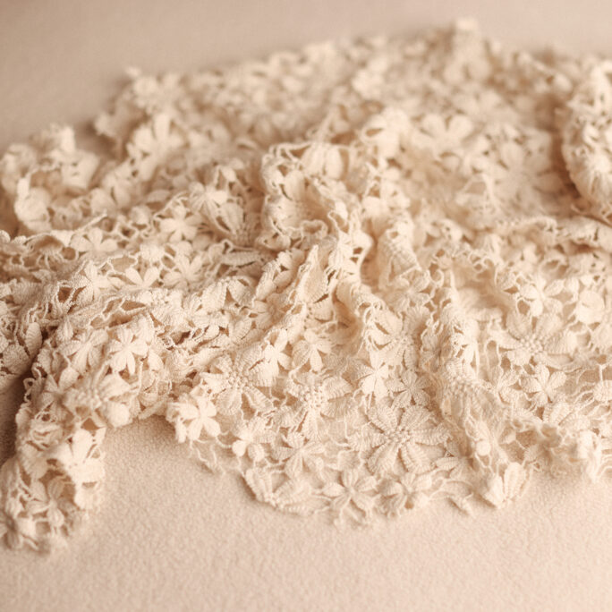 DAISY FLOWERS - LAYER