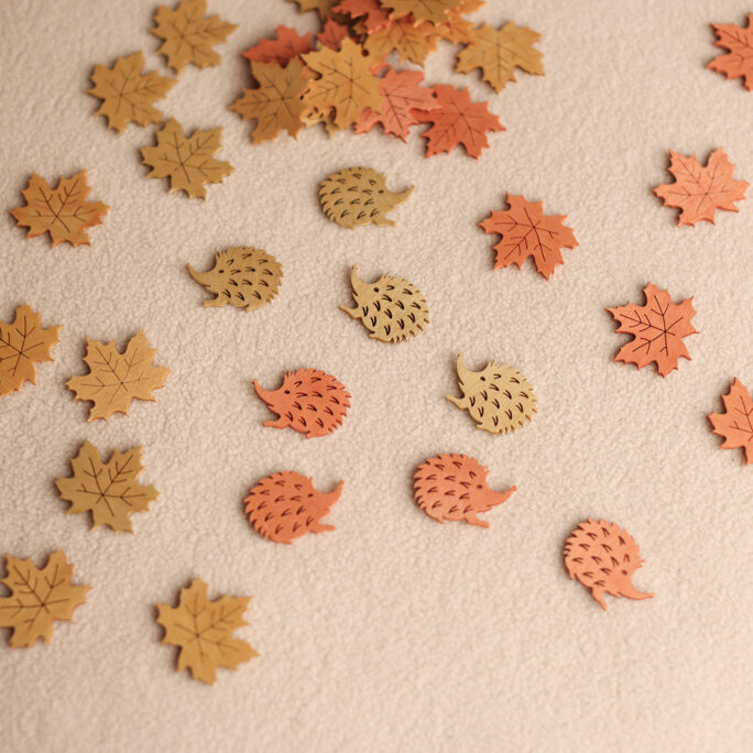 Wooden Hedgehog set of 5