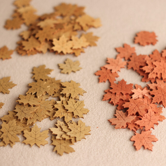 Wooden Autumn Leaves set of 6