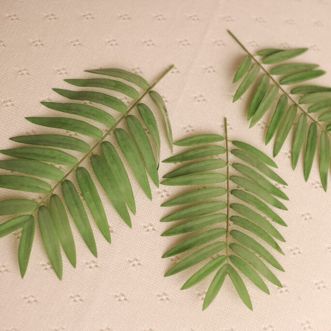 set of 3 large GREEN leaves