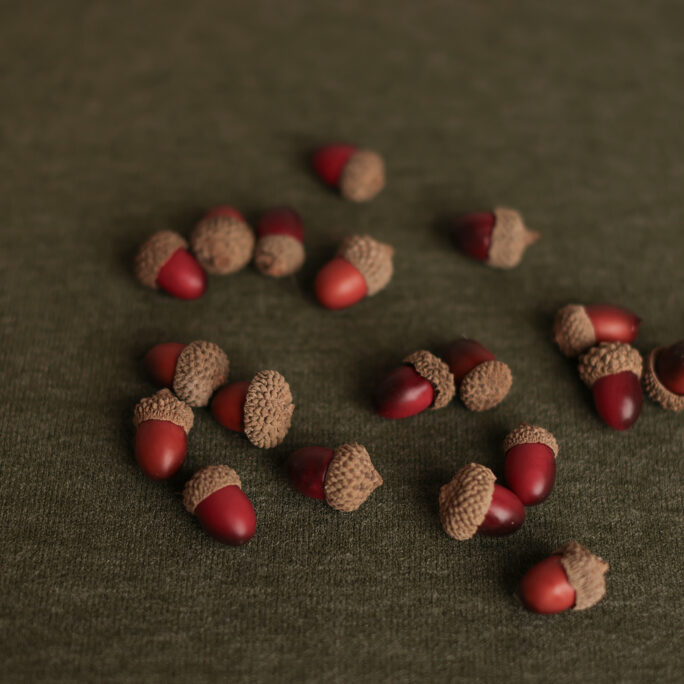 10 Acorn decorations