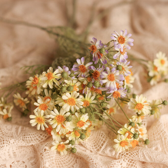 delicate Daisies