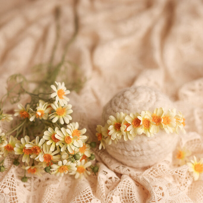 DAISIES headband