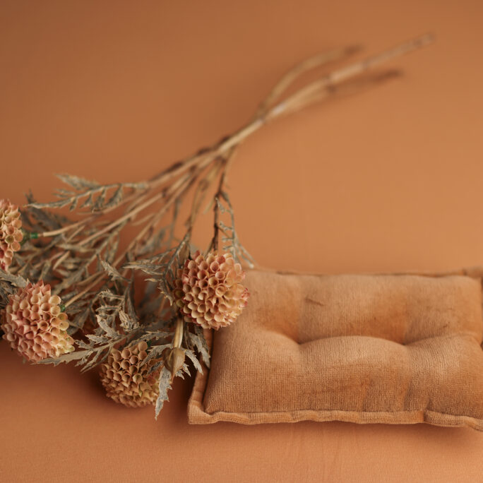 Sunbaked Clay Backdrop