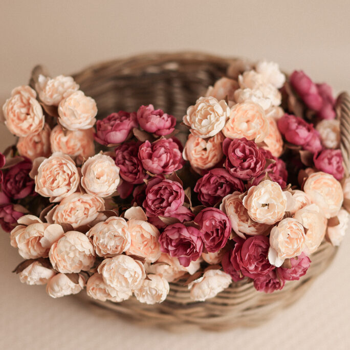 Roses