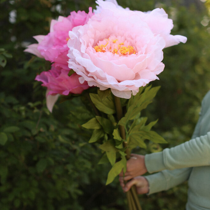 BLUSH BLOOM GIANT FLOWER