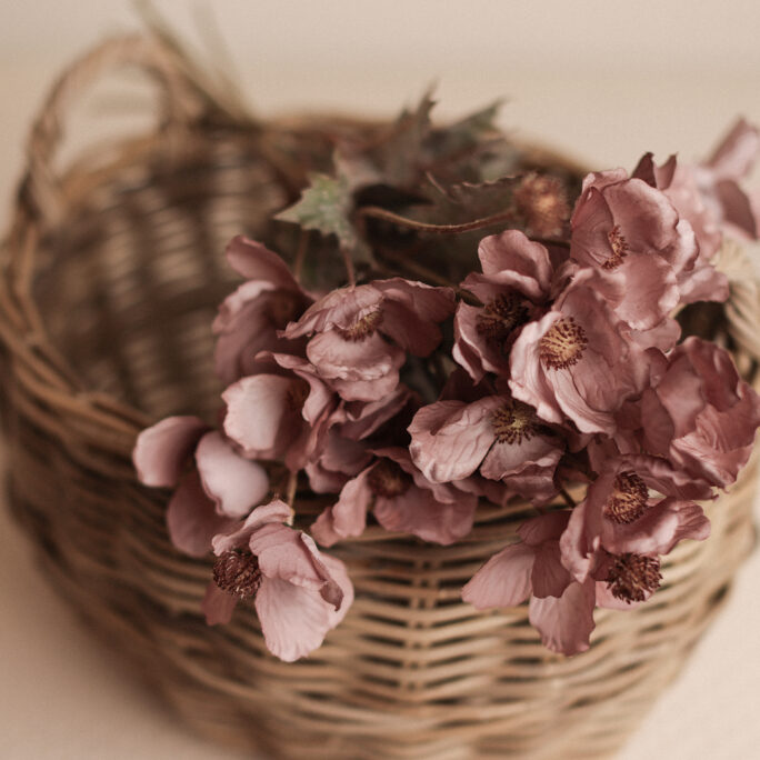MAUVE Poppy