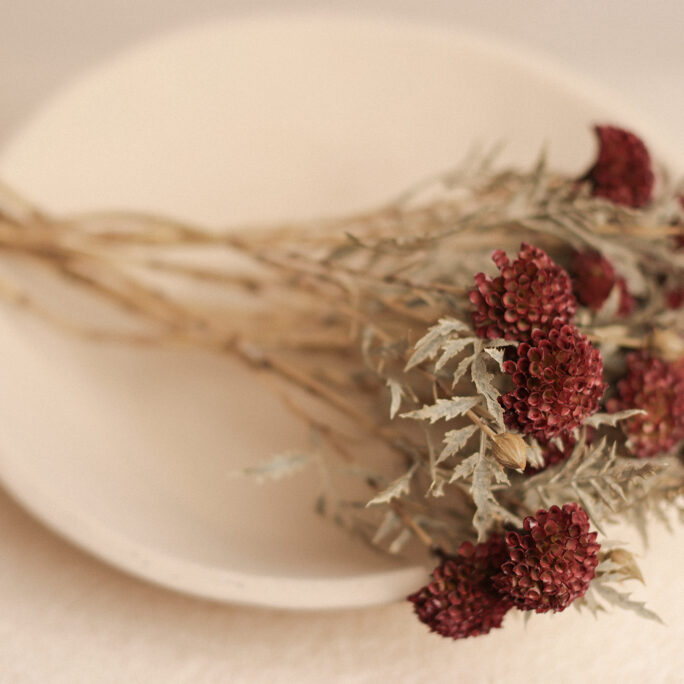 Rust Berry Blooms