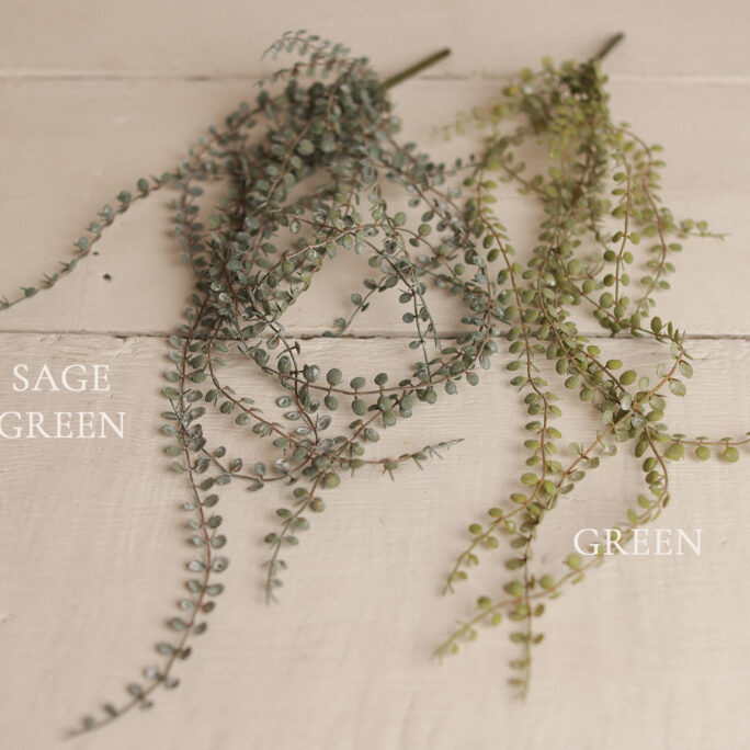 Long hanging greenery