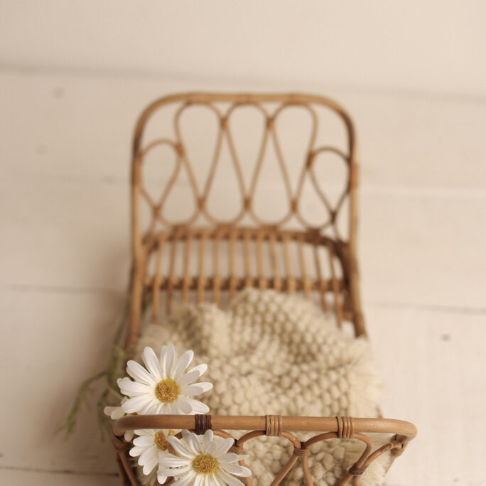 NEW* Bamboo BED + free mattress