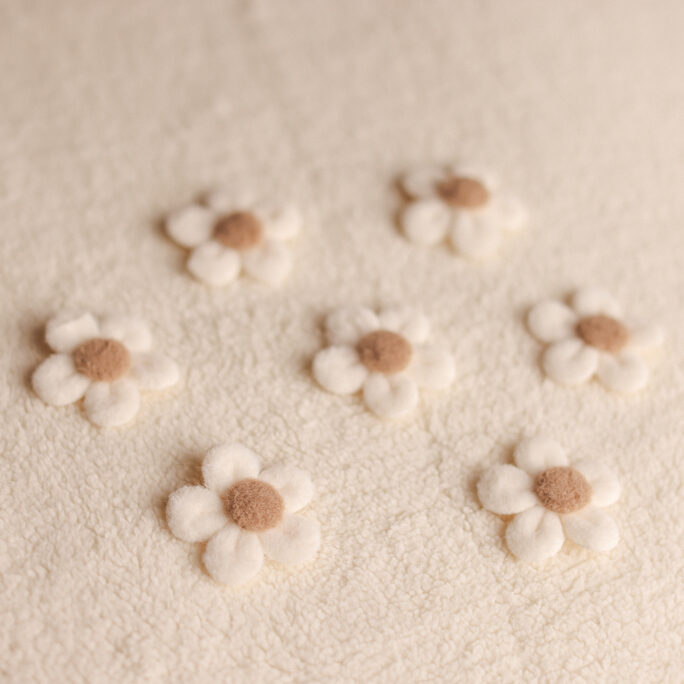 set of 5 FELT flowers