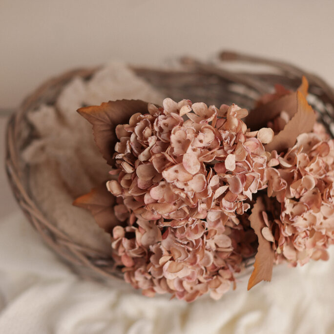 SOFT Pink Hydrangea