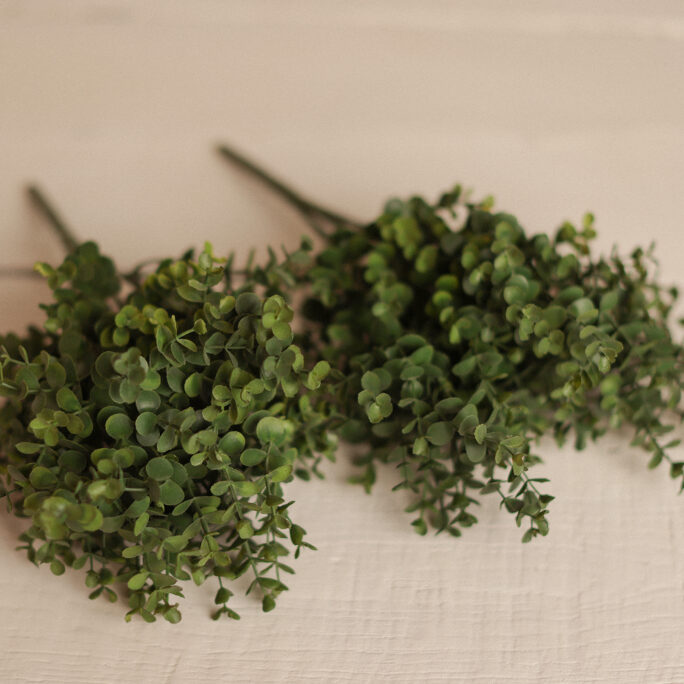 Intense Green eucalyptus