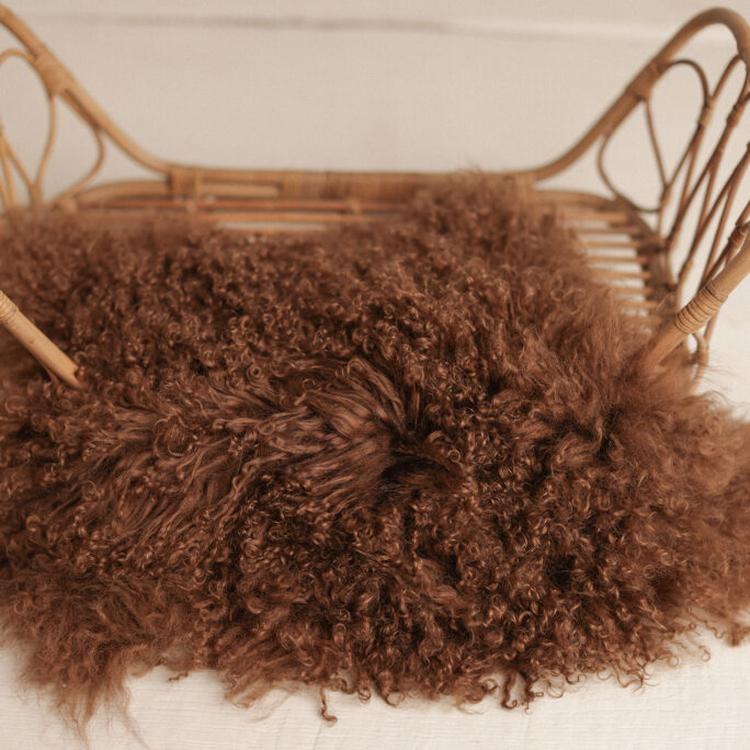medium BROWN CHOCO - FUR
