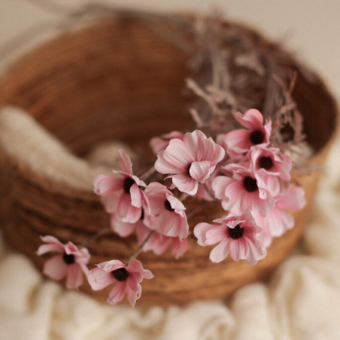 Vintage Pink Daisy Branch
