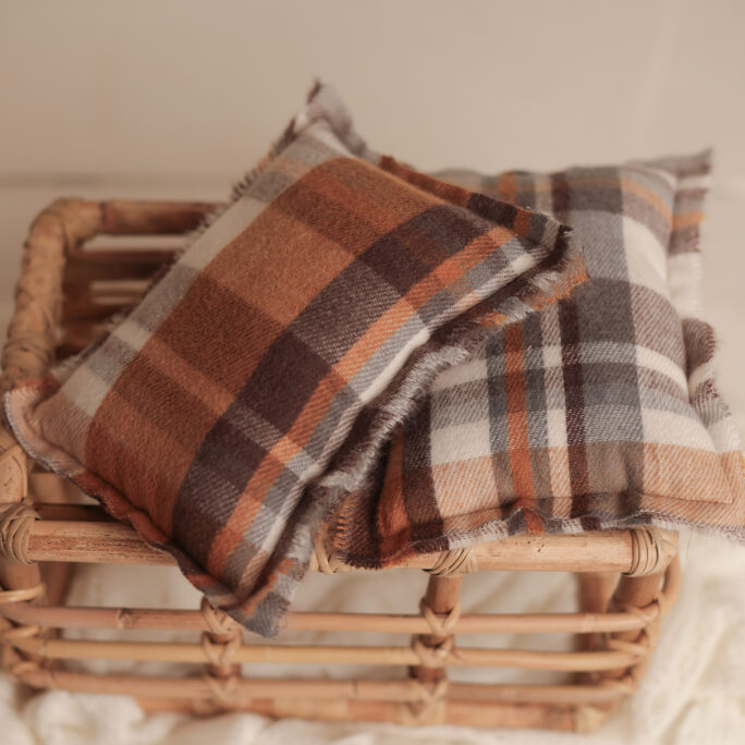 NB pillow - Autumn Spice